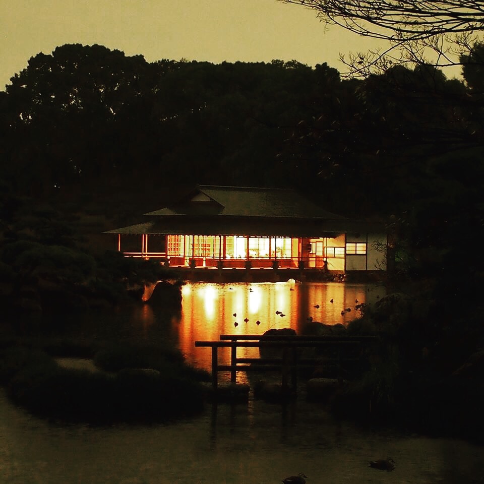 清澄庭園涼亭夜
