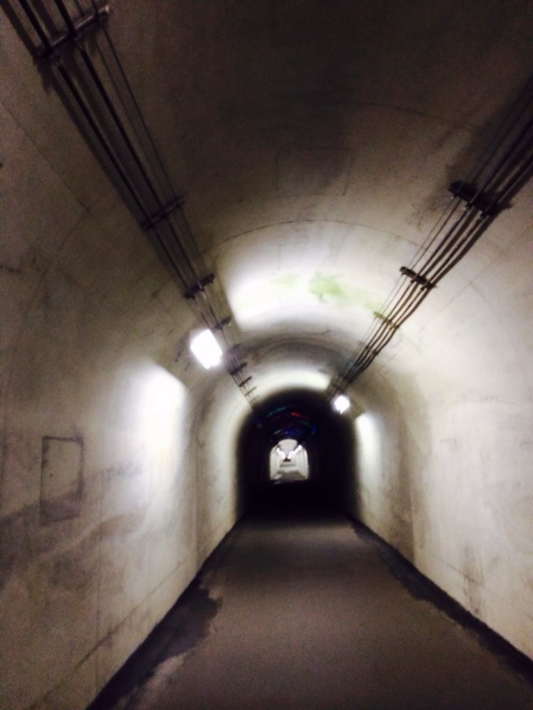 BT 新潟山菜ツアー_633