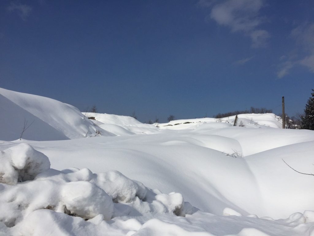 2017.1.21 山形県戸沢村_1954