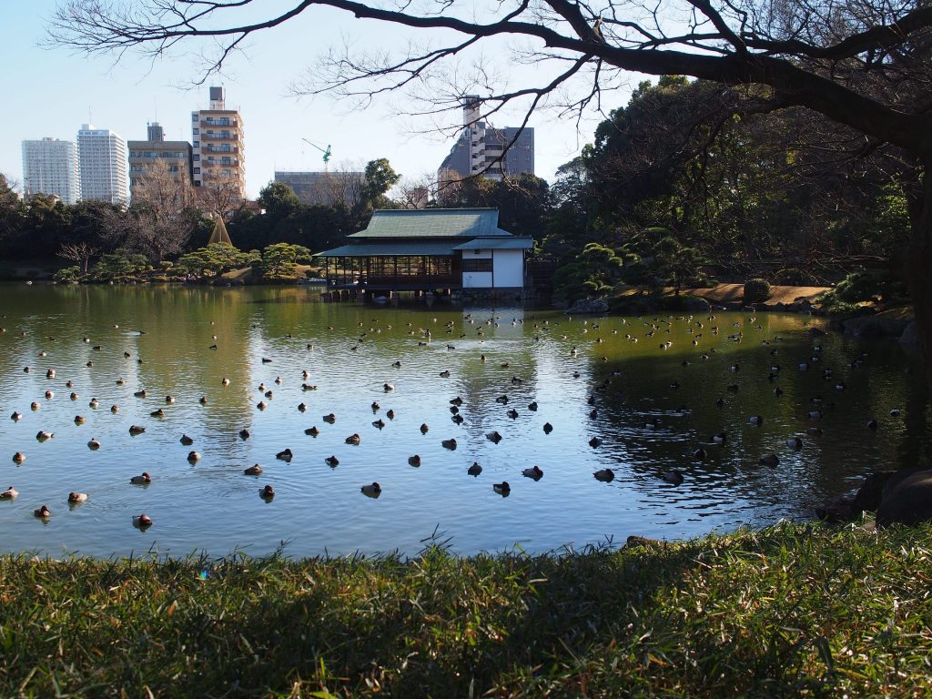 2017211 清澄庭園ヨガ_170801_0025