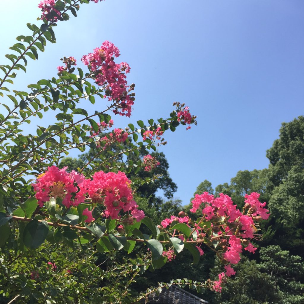 S__38649873-1024x1024
