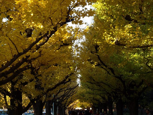 pc010754-640x480
