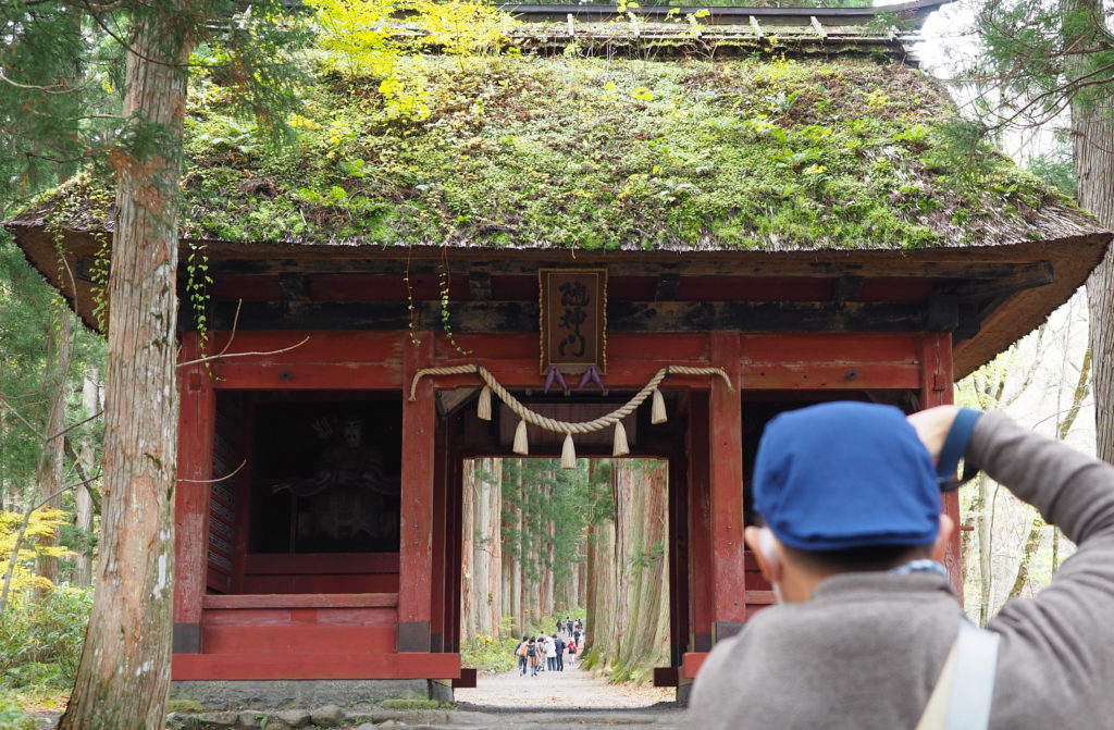 日本 長野 戶隱 神社 山岳 自然 BreatheTOKYO