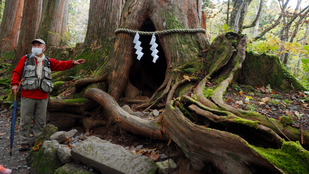 日本 長野 戶隱 神社 山岳 自然 BreatheTOKYO