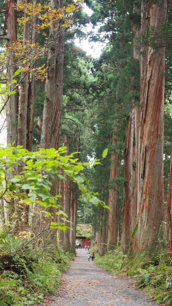 日本 長野 戶隱 神社 山岳 自然 BreatheTOKYO