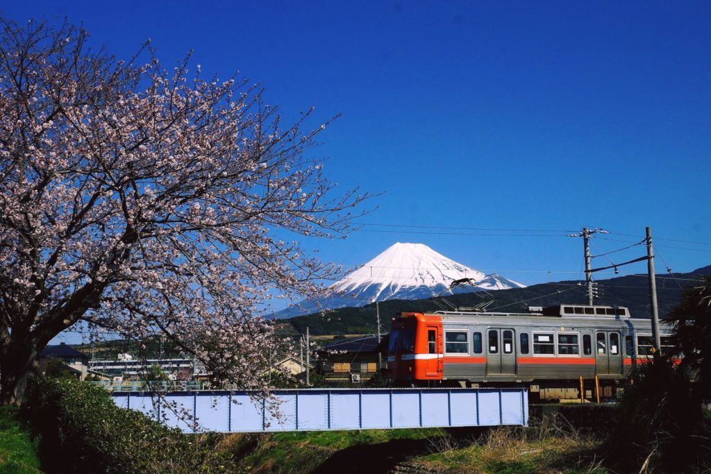 靜岡 富士山 觀光 旅遊